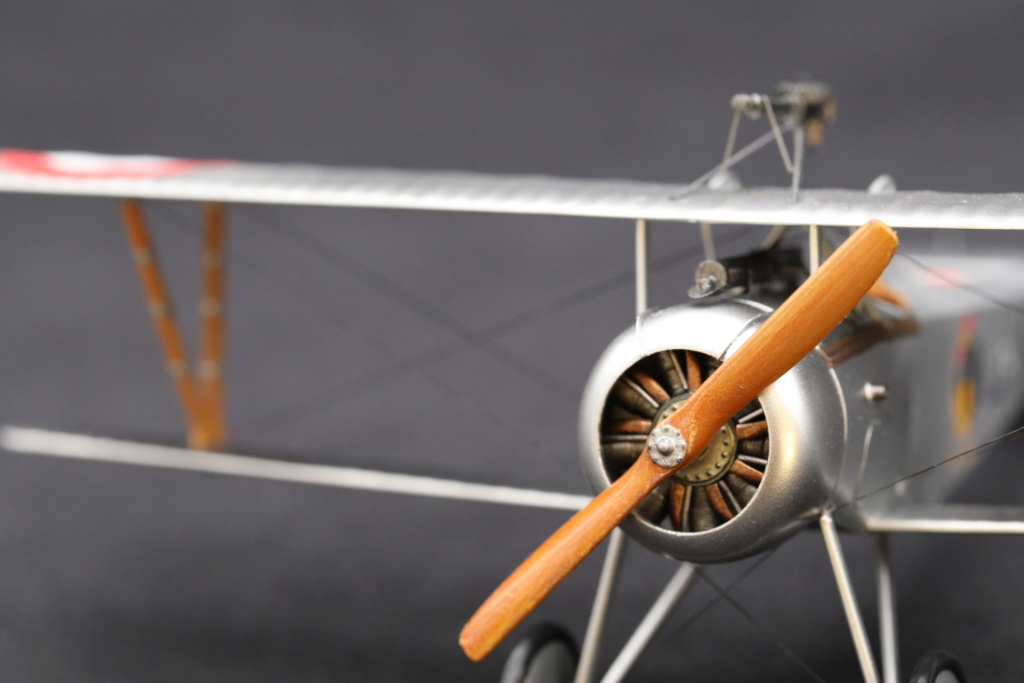 [Eduard] Nieuport 17 - 1/48  (ni17) 410a5215