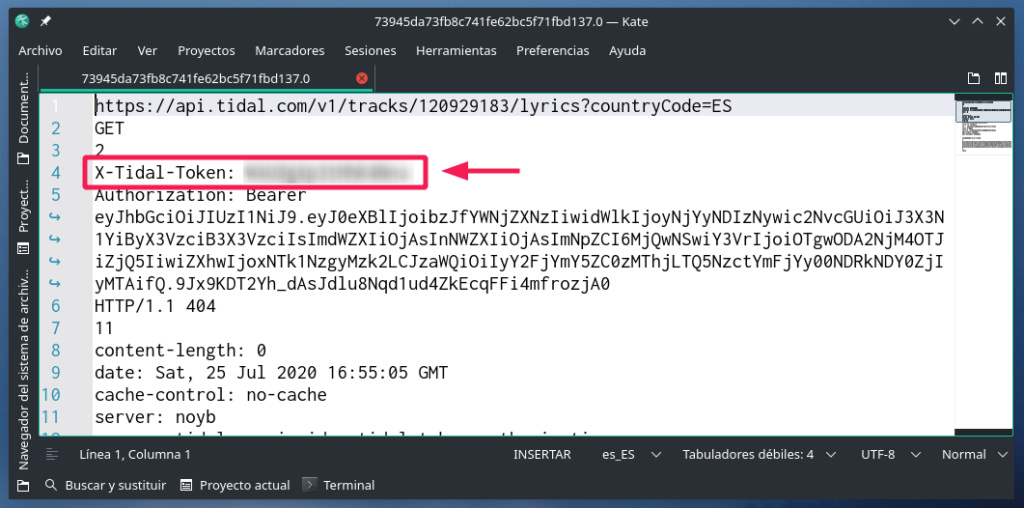 Strawberry (mini análisis): Tidal en bitperfect en Linux (y más cosas) - Página 2 2020-019
