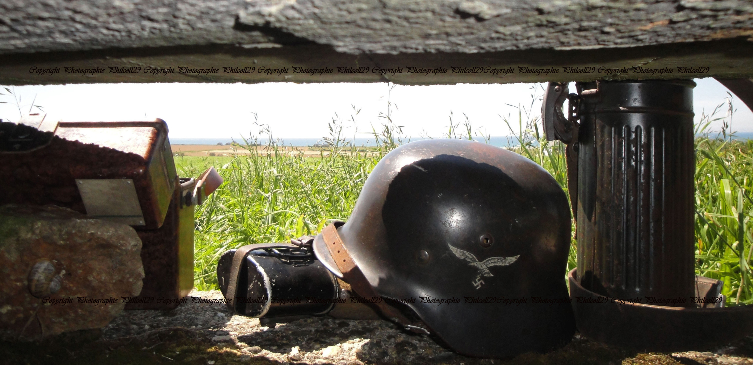 Nature verte Bunker Allemand d'observation 1828