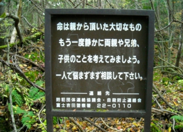 Лес самоубийц в Японии  Scree152