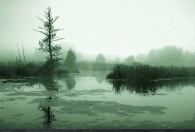 Мистическое Озеро Ивачевское Screen51