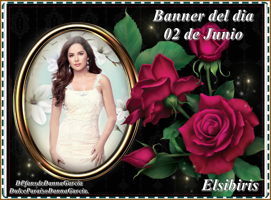 El BANNER del DIA - Página 36 Elsa22