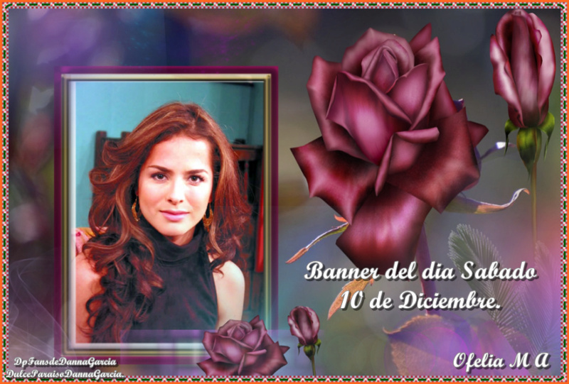 El BANNER del DIA - Página 3 Ofelia46