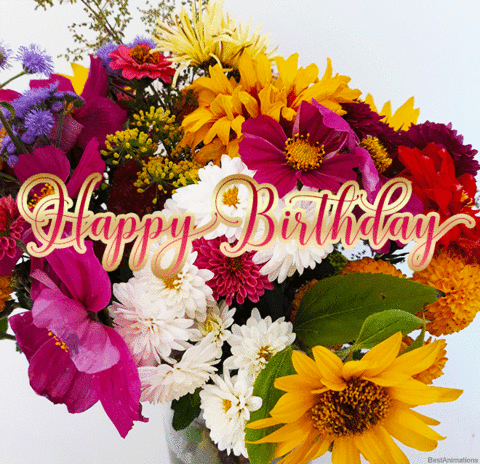 Joyeux Anniversaire Aujourd Hui A Page 13 Joyeux Anniversaire Aujourd Hui A Page 13