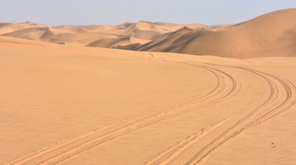 Retour Désert Du Namib 410