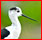 oiseaux - Familles d'Oiseaux : liste, identification Recurv10
