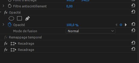Besoin d'aide sur premiere pro Effet_11