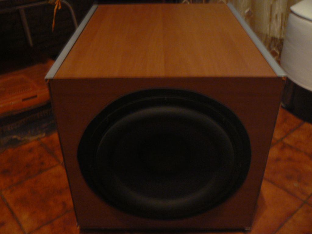 ( ROMA ) SUBWOOFER SCAN SPEAK DISCOVERY 30 CM + HYPEX DS 4.0 P1030312