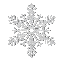 Défi du 29-30-31 Décembre/ Flocon de neige Flocon12