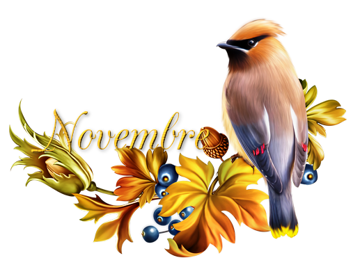 Défi du 13-14-15 Novembre /  Oiseau Novembre Oisono10