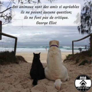 La citation du jour - Page 38 Les_an10