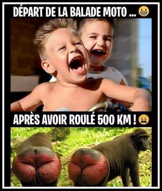 Humour en image du Forum Passion-Harley  ... - Page 25 Caf10f10