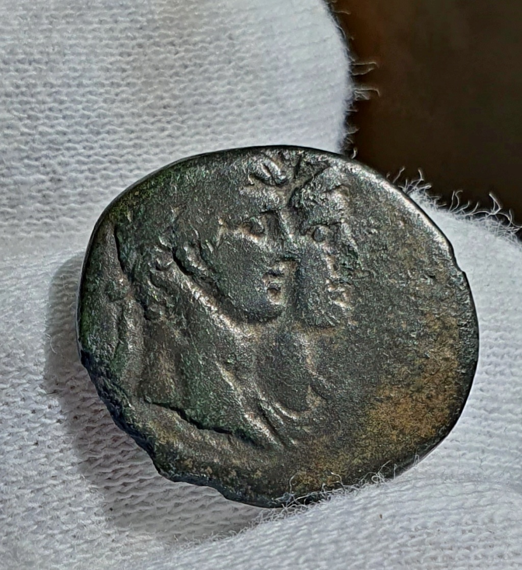 Unidad Claudio y Agripina. Ionia Éfeso 20230315