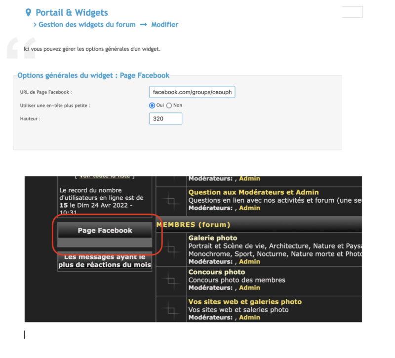 le lien Facebook pas pris en compte  dans les "Options générales du widget : Page Facebook " Captur16