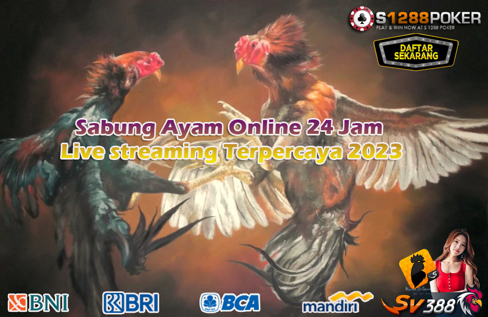 Sabung Ayam Online 24 Jam Live streaming Terpercaya 2023 A110