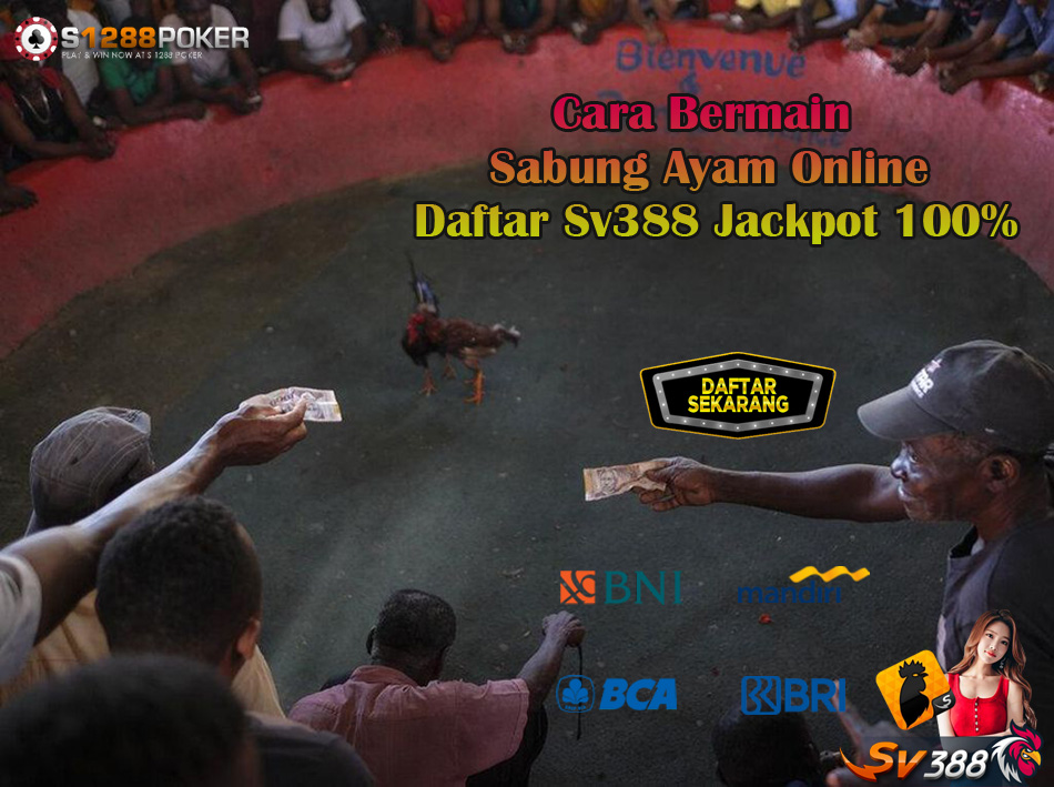 Cara Bermain Sabung Ayam Online Daftar Sv388 Jackpot 100% Ag11