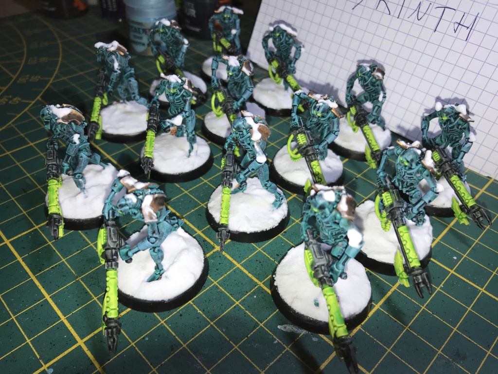 [FINI][Lysander][Necrons] 14 guerriers necrons 200pts 1048f810