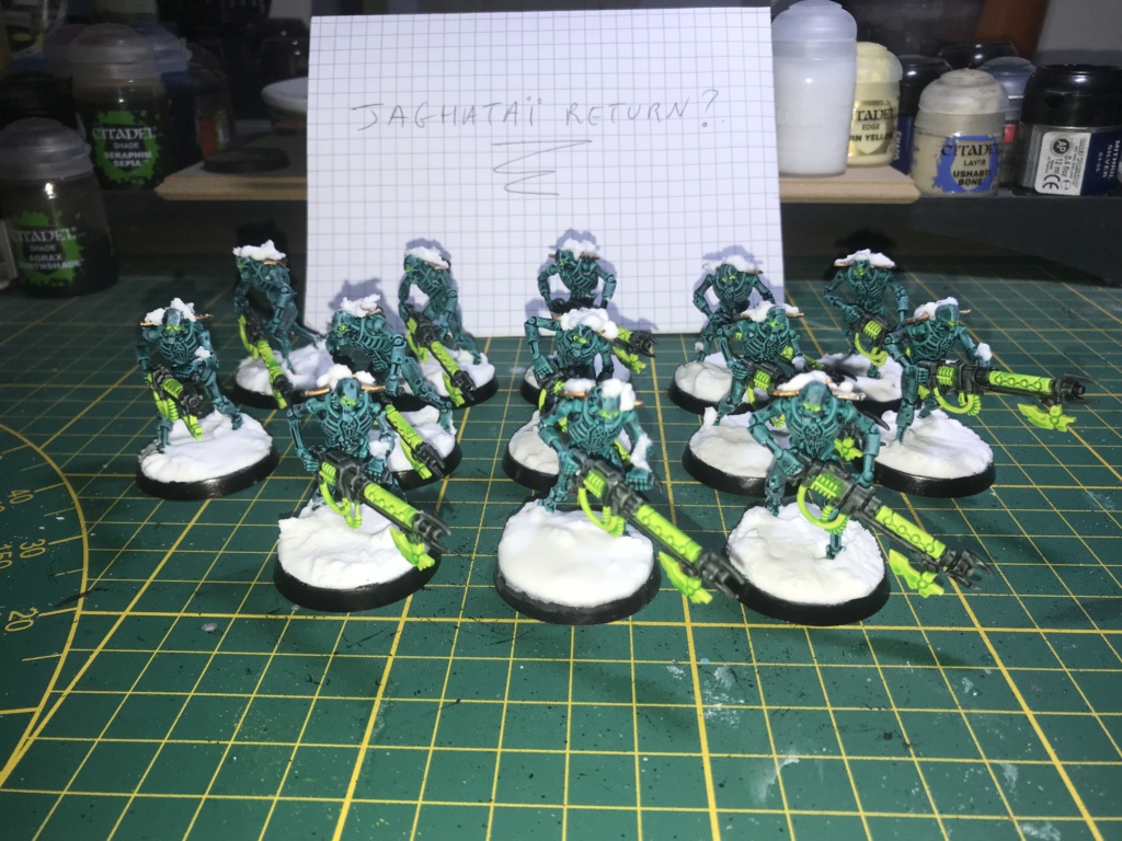 [FINI][Lysander][Necrons] 13 guerriers necrons 200pts 67fccd10