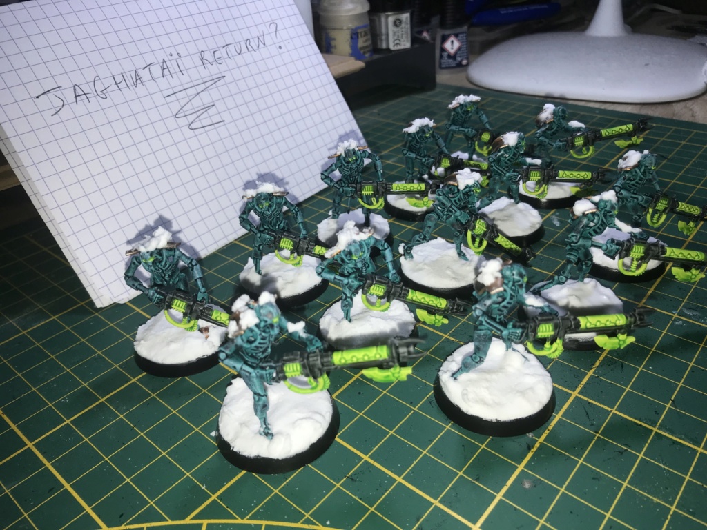 [FINI][Lysander][Necrons] 13 guerriers necrons 200pts Ac876a10