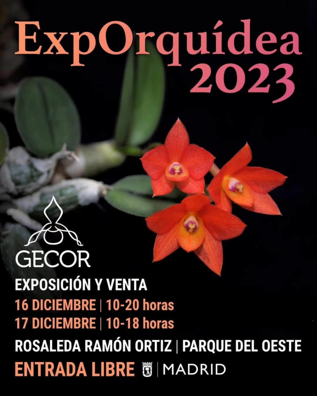 Ya queda muy poco: ExpOrquídea 2023 Madrid Diciembre días 16 y 17 La_exp10