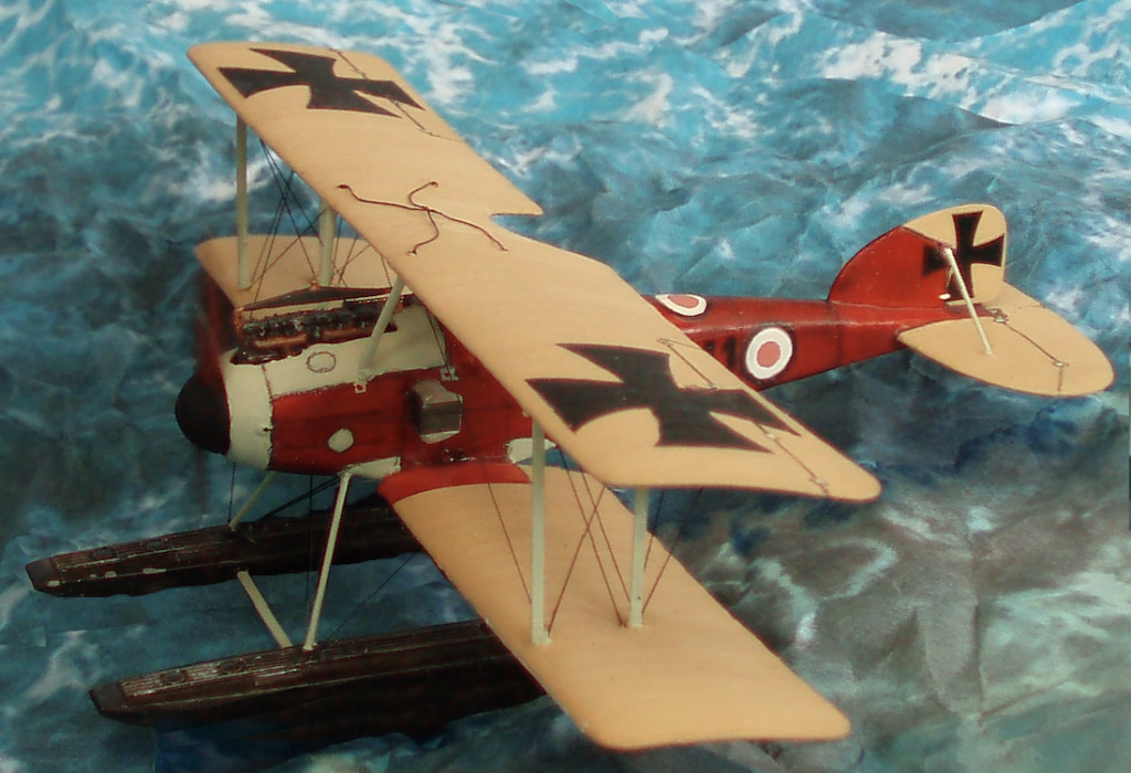 Albatros W.4 (Early) Captu133