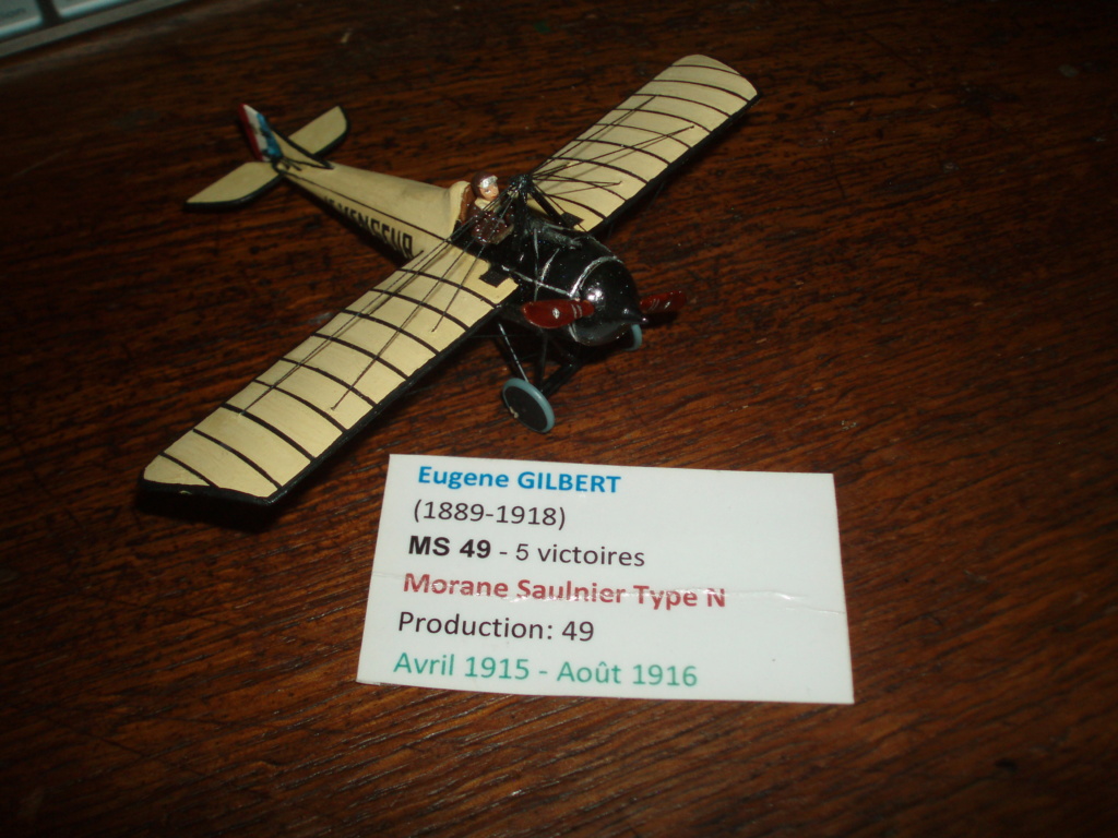 Morane Saulnier type N P1010024
