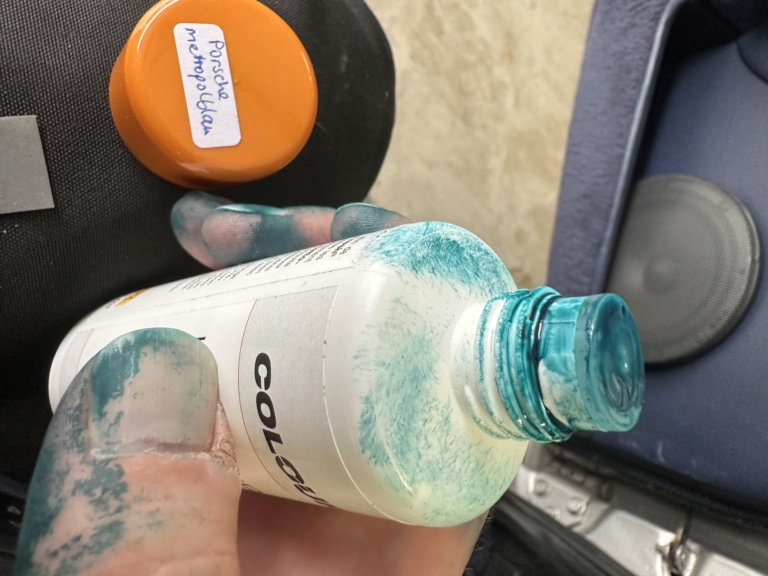 Help !! Recherche/ Reteinte siège bleu couleur Img_0916