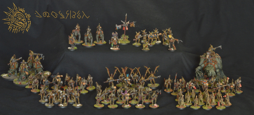 [TAU] Le contingent d'O'Rir'olda Army_c10