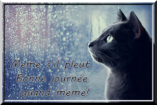 Lundi 11 juin Pluie10