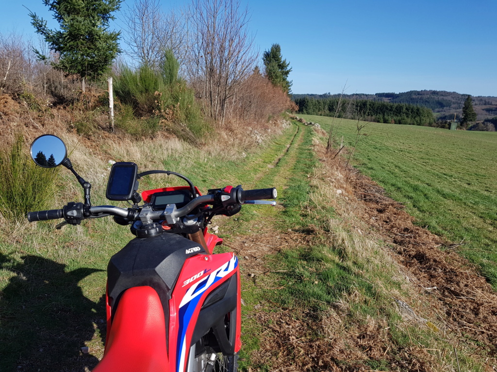 Belle découverte que cette crf300l 20240218