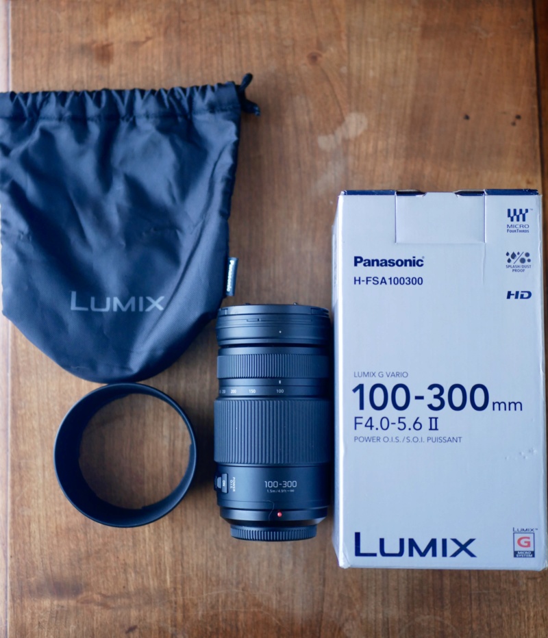 VENDU Panasonic G Vario 100-300 F4.0-5.6 II F249aa10