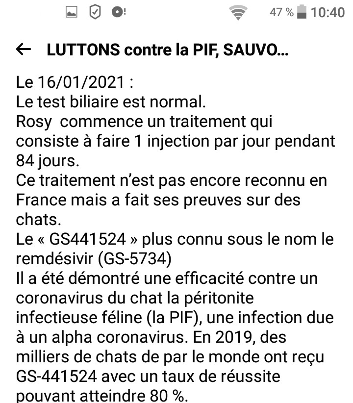 La PIF (péritonite infectieuse féline) - Page 2 _2021111