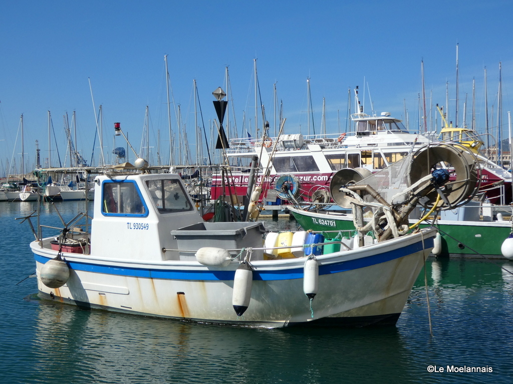 [Vie des ports] Quelques bateaux de pêche (sur nos côtes Françaises) - Page 19 P1290614