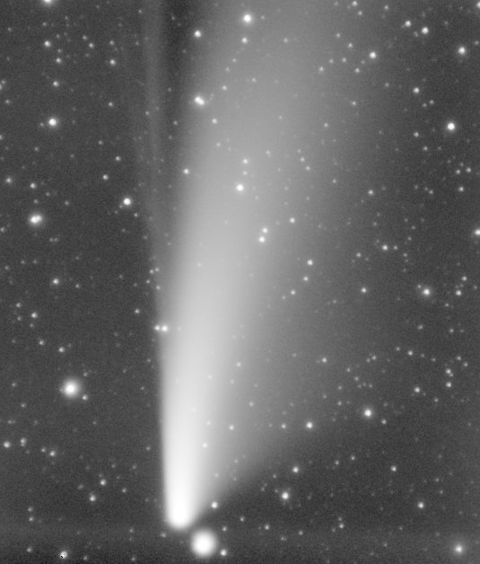 Comète C/2020 F3 (Neowise) 250x1s10