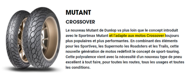 Dunlop Mutant, le pneu 4 saisons - Page 3 Dunlop13