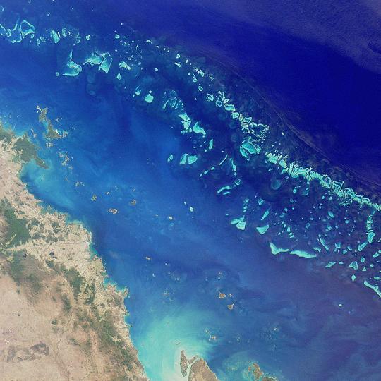11 juin 1770: l'explorateur James Cook découvre la grande barrière de corail Dftkrc11