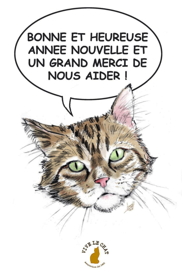 Nouvelle de l'association VIVE LE CHAT - Page 4 Sans_t10