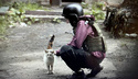 Collecte Compassion Animale (Ukraine) - Collecte soldée Compas10