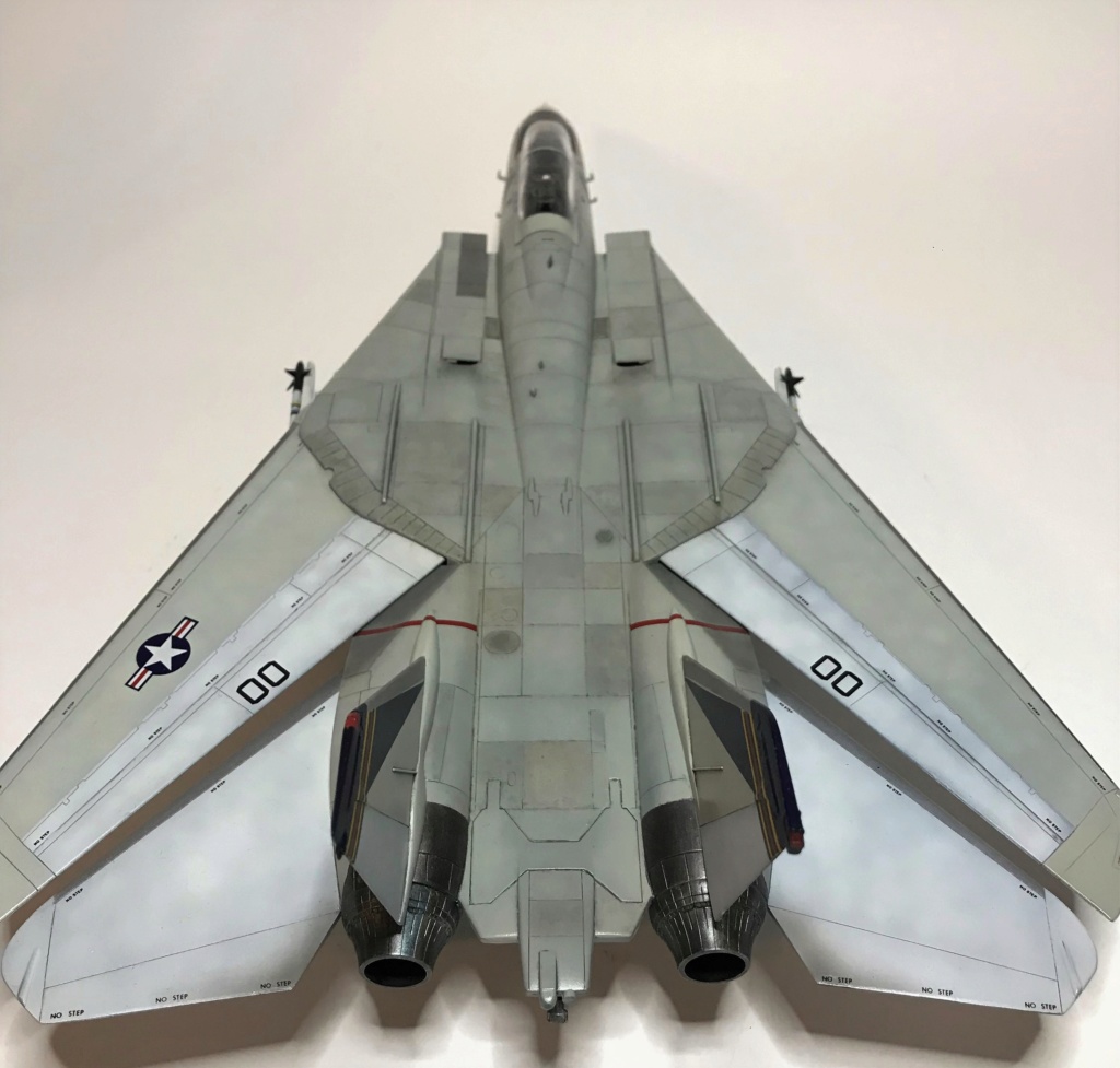 F-14A VF 143 "Pukin Dogs" Academy 1/48 Img_3212