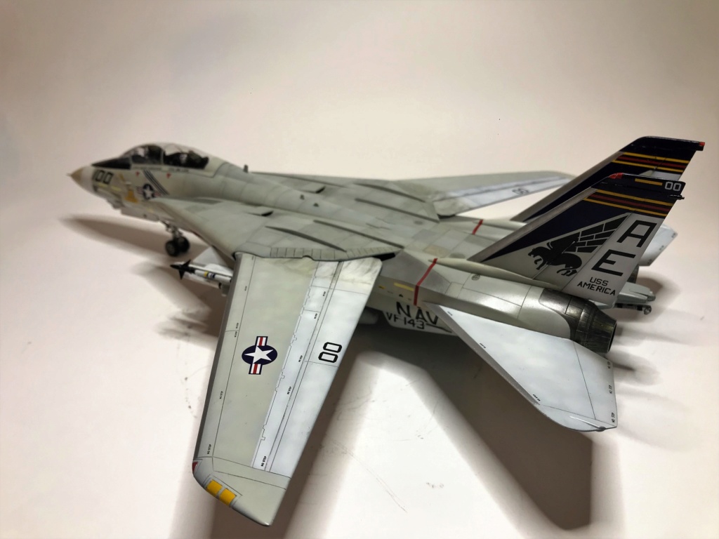 F-14A VF 143 "Pukin Dogs" Academy 1/48 Img_3213