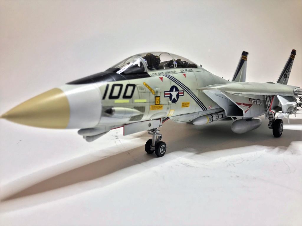 F-14A VF 143 "Pukin Dogs" Academy 1/48 Img_3214