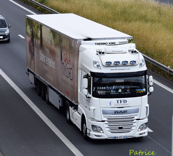  TFD (Transports Francis Daire) (Sorigny, 37) 17220