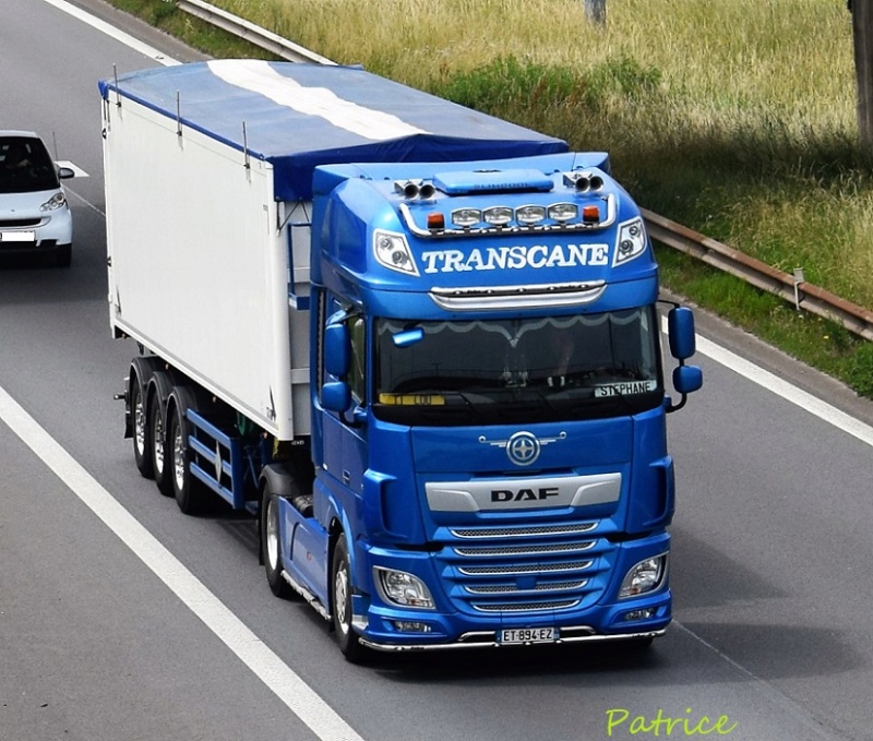 Transcane (Attignat, 01) 9816