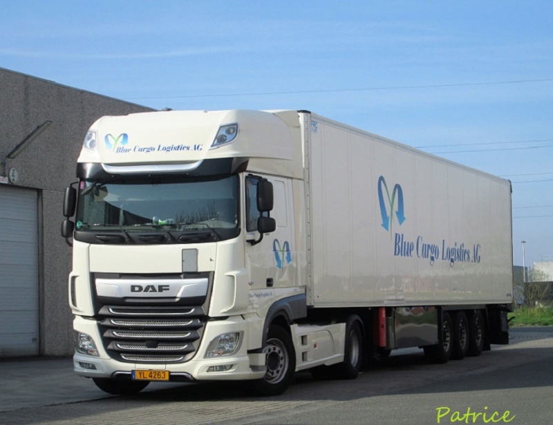  Blue Cargo Logistics  (Huldange) Blue11