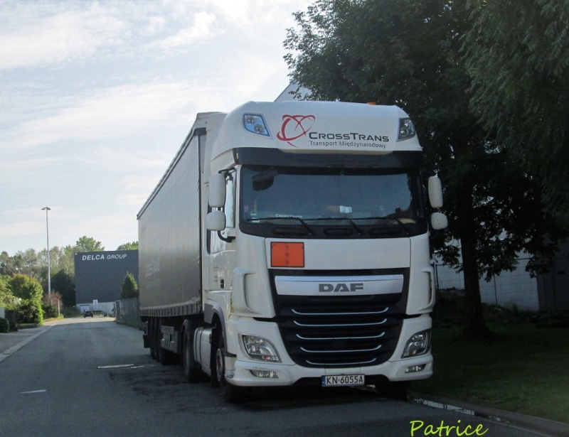  Cross Trans  (Novy Sacz) Crosst10