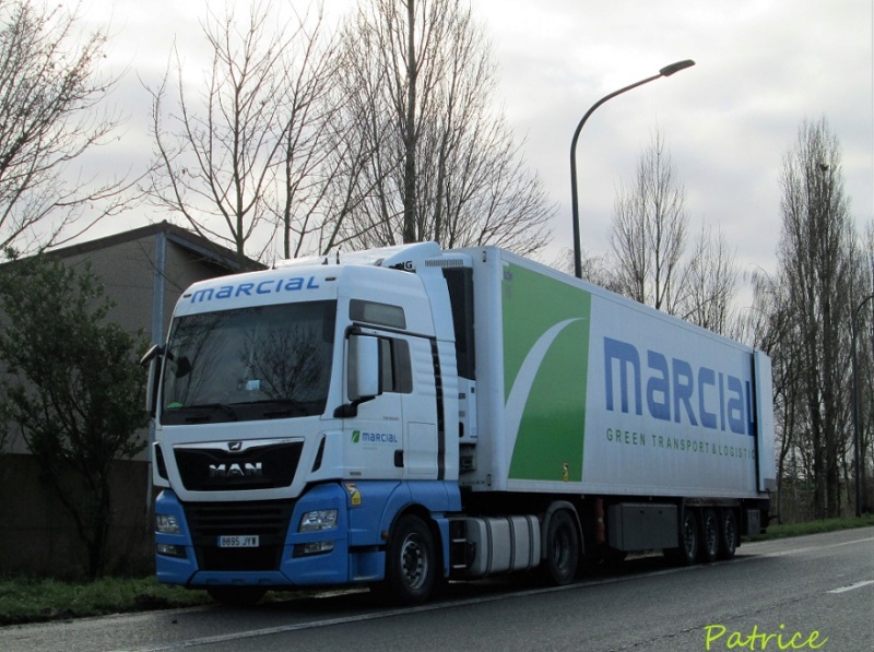 Marcial Green Transport & Logistics (Murcia) Marcia11