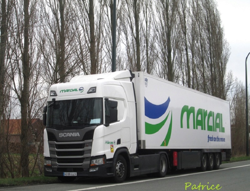 Marcial Green Transport & Logistics (Murcia) Marcia13