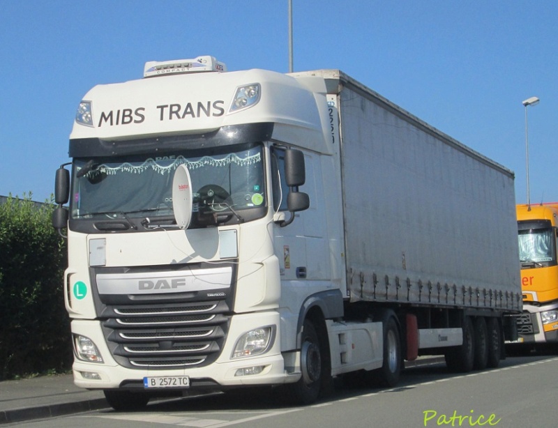  MIBS Trans  (Varna) Mibs11