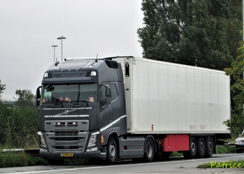  M&S Transport  (Honselersdijk) Ms_tra11