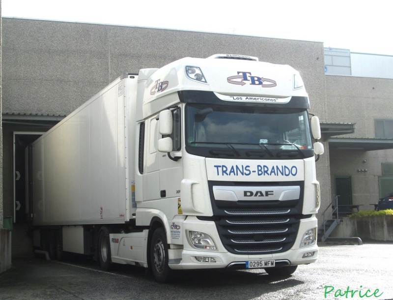  Trans-Brando  (Archena - Murcia) Trans-15